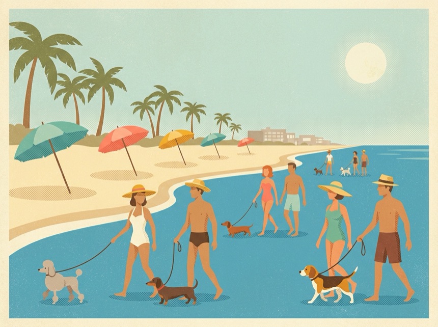 The dog beach at Jacksonville Beach