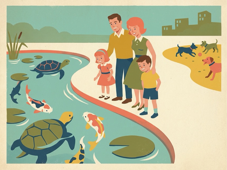 The Park turtle & koi pond